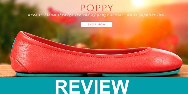 Tieks Healthcare Discount [2023] Is It A Genuine One?