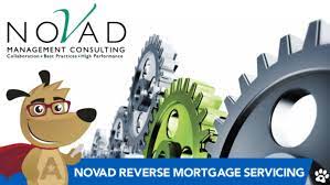 Novad Management Consulting Scam (2022) Stay Alert!
