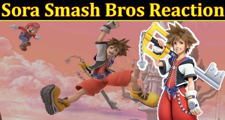 Sora Smash Bros Reaction (2022) Unleash The Fact!