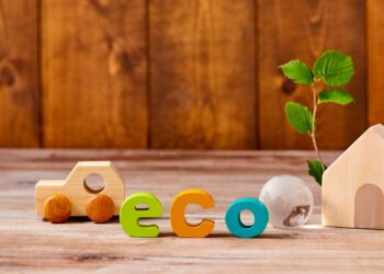 Eco-Conscious Choices for a Sustainable Future and Final Arrangements