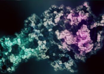 Mitochondrial Throughput: Practical, Data-Driven Levers for Longevity and Performance