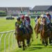 How Technology is Enhancing Horse Racing Fan Experience
