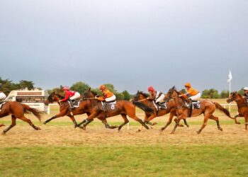 Why the Belmont Stakes Draws Global Horse Racing Fans Every Year