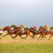 Why the Belmont Stakes Draws Global Horse Racing Fans Every Year