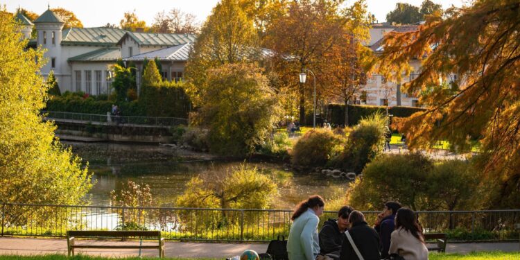 Exploring the Most Popular Leisure Activities of 2026
